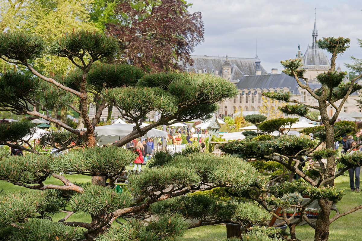 jardin japonais 