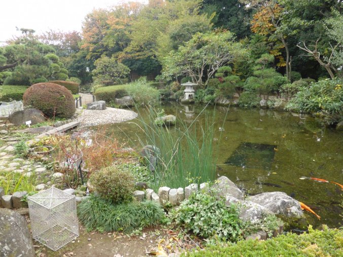 jardin japonais 