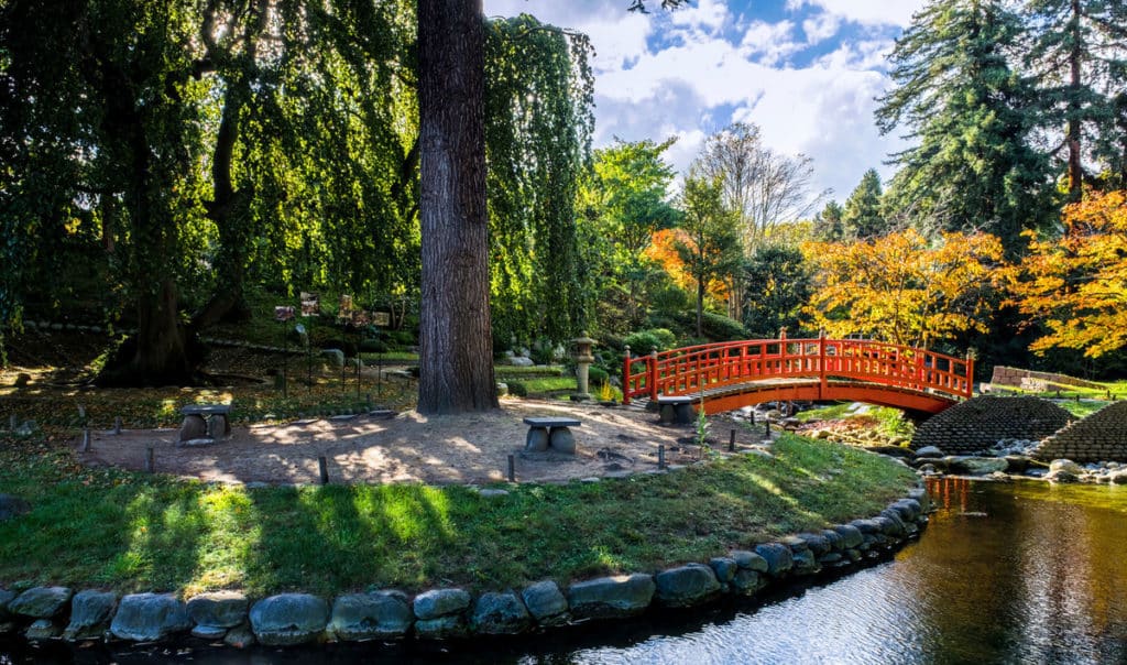 jardin japonais 