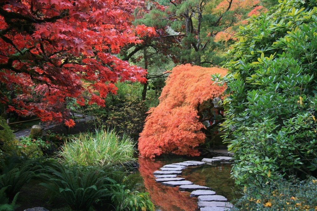 jardin zen