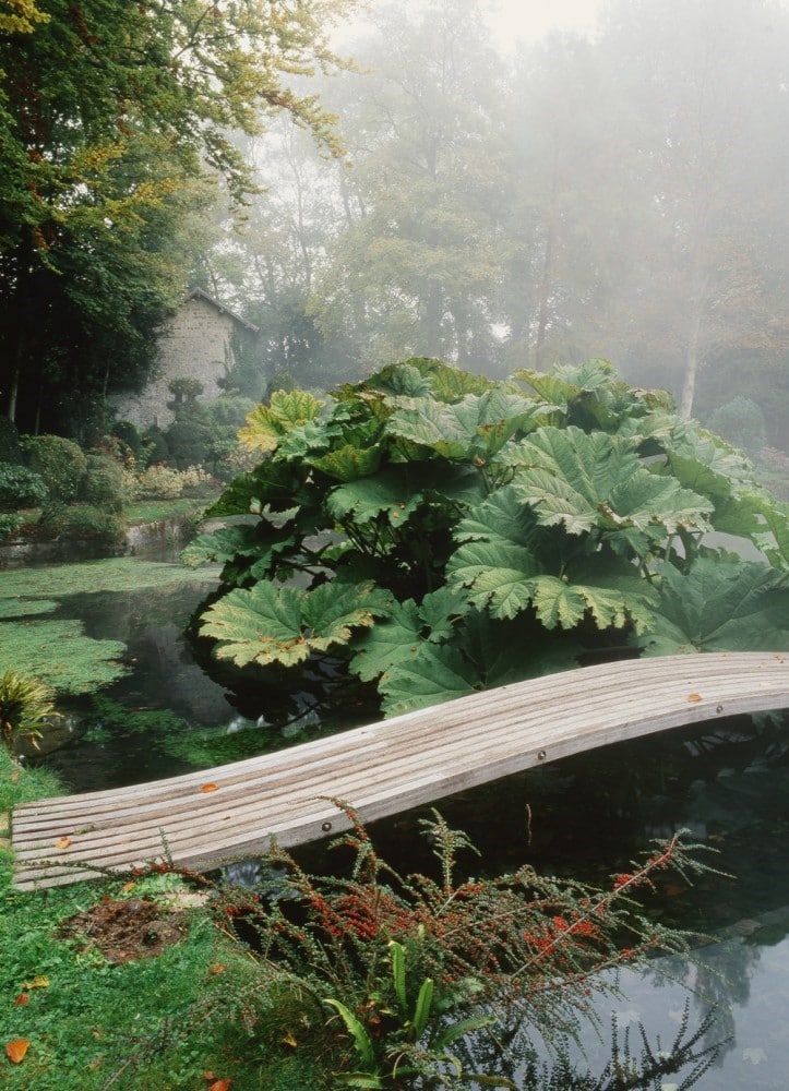 jardin japonais