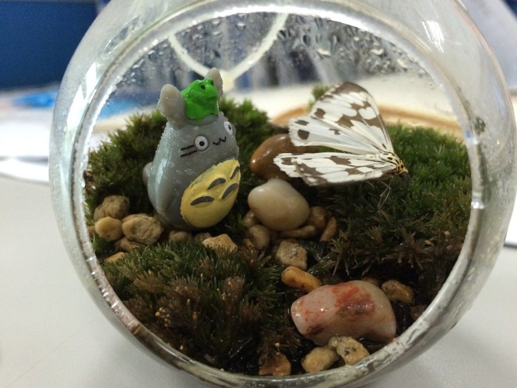 totoro japon