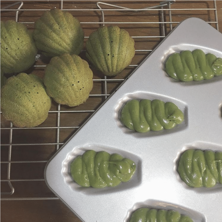 madeleine matcha