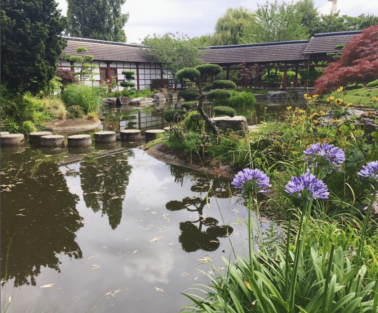 jardin japonais