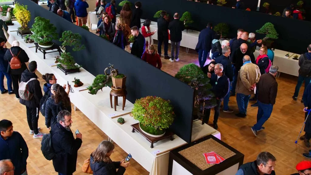bonsai culture expo 2025